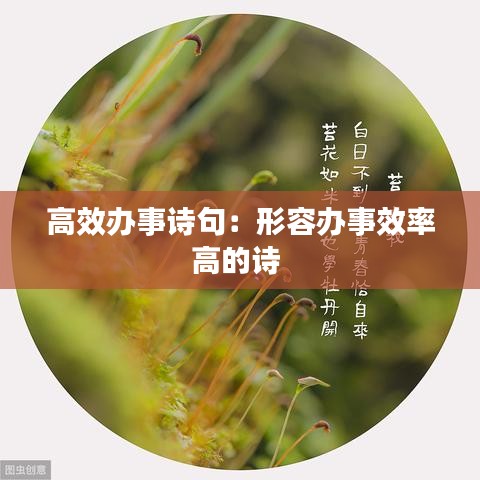 高效辦事詩句:形容辦事效率高的詩
