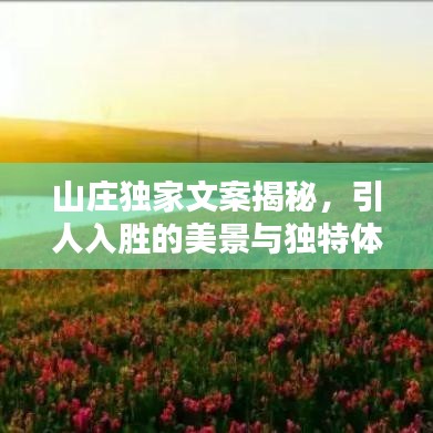 烏鳥私情 第3頁