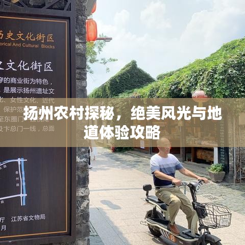 揚州農村探秘,絕美風光與地道體驗攻略