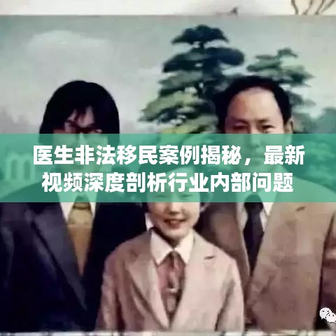 醫(yī)生非法移民案例揭秘,最新視頻深度剖析行業(yè)內(nèi)部問題