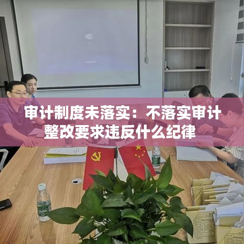 審計制度未落實:不落實審計整改要求違反什么紀律