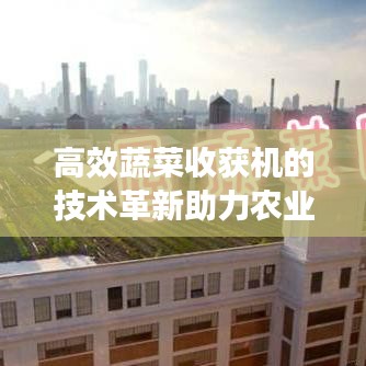 高效蔬菜收獲機的技術革新助力農業現代化應用
