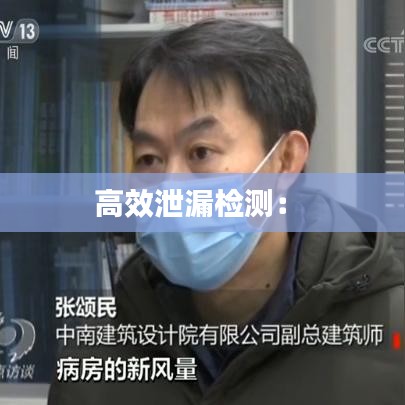 高效泄漏檢測: