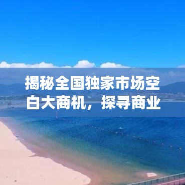揭秘全國獨家市場空白大商機,探尋商業(yè)新藍海,開啟財富大門!