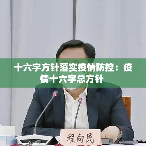 十六字方針落實疫情防控:疫情十六字總方針