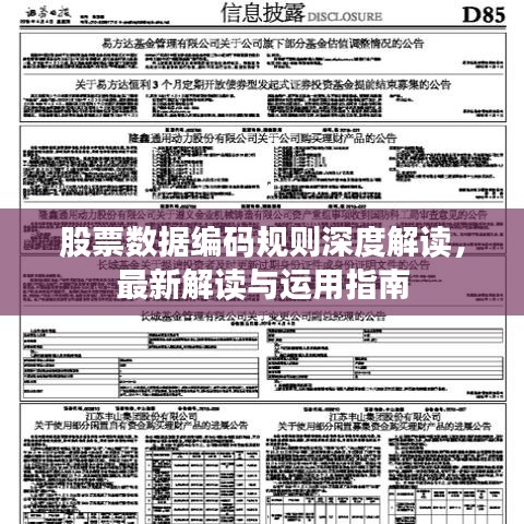 股票數據編碼規則深度解讀,最新解讀與運用指南