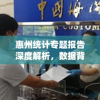惠州統(tǒng)計專題報告深度解析,數(shù)據(jù)背后的真相與洞察