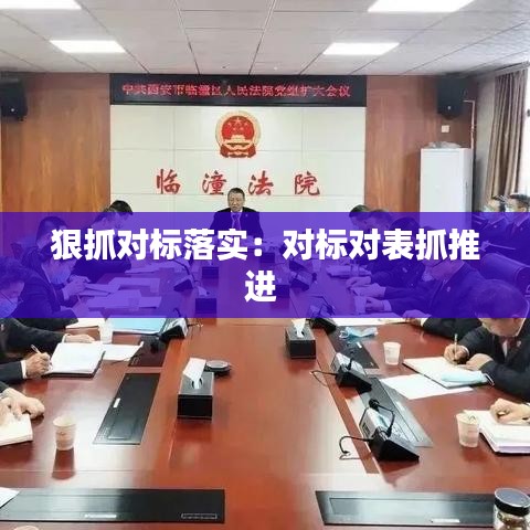 狠抓對標落實:對標對表抓推進