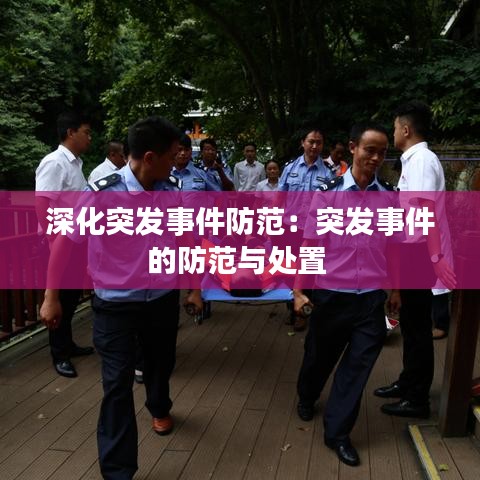 深化突發事件防范:突發事件的防范與處置