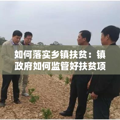 如何落實鄉鎮扶貧:鎮政府如何監管好扶貧項目