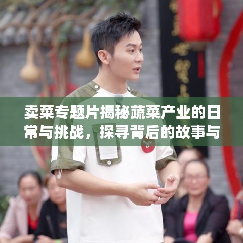 賣菜專題片揭秘蔬菜產業的日常與挑戰,探尋背后的故事與挑戰