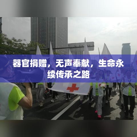 器官捐贈，無聲奉獻，生命永續傳承之路