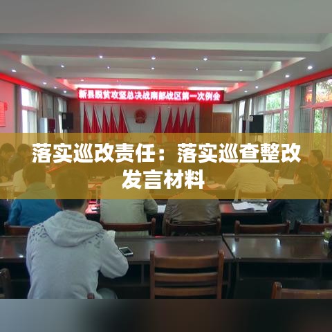 落實巡改責任:落實巡查整改發言材料