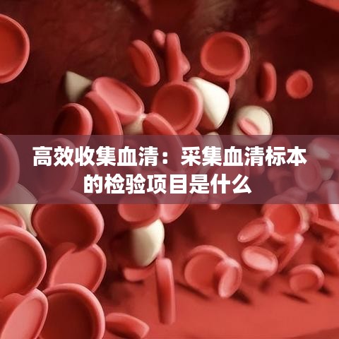 高效收集血清:采集血清標本的檢驗項目是什么