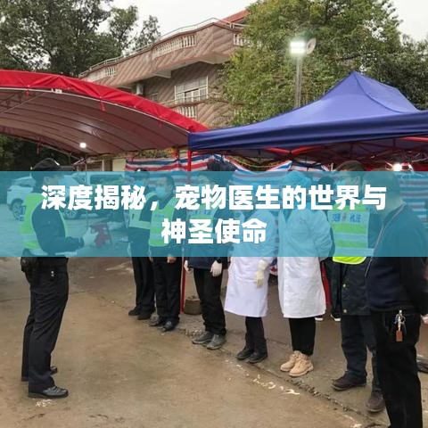 深度揭秘,寵物醫生的世界與神圣使命