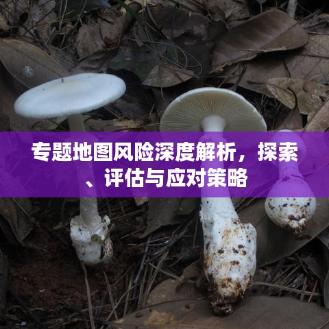 專題地圖風(fēng)險(xiǎn)深度解析,探索、評(píng)估與應(yīng)對(duì)策略