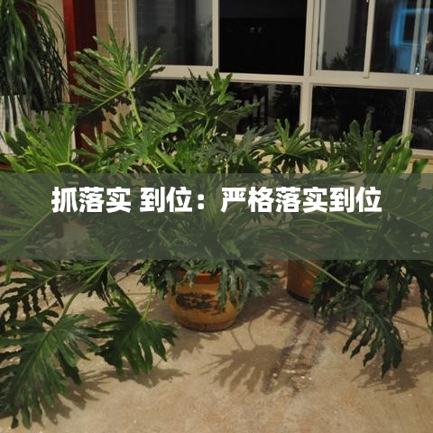 抓落實 到位:嚴格落實到位