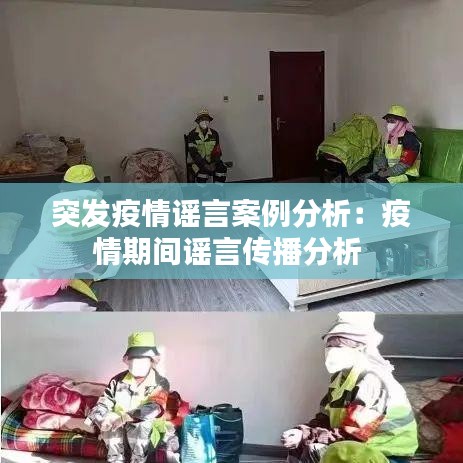 突發疫情謠言案例分析:疫情期間謠言傳播分析