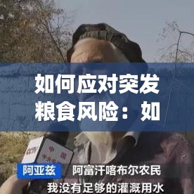 如何應(yīng)對(duì)突發(fā)糧食風(fēng)險(xiǎn):如何應(yīng)對(duì)糧食短缺