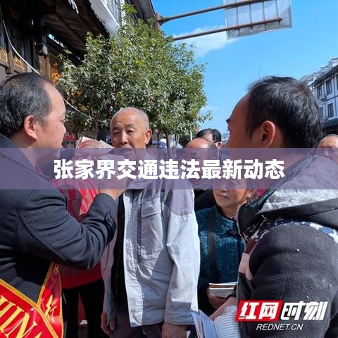 張家界交通違法最新動態