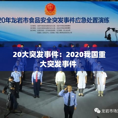 20大突發事件:2020我國重大突發事件