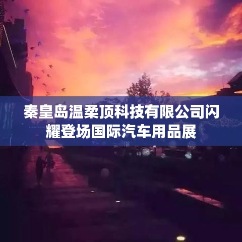 秦皇島溫柔頂科技亮相國際汽車用品展,引領行業新潮流