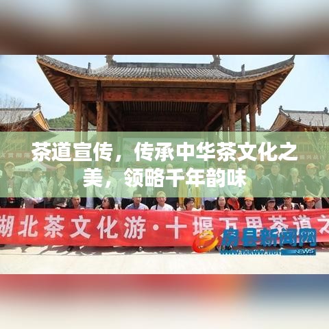 茶道宣傳,傳承中華茶文化之美,領(lǐng)略千年韻味