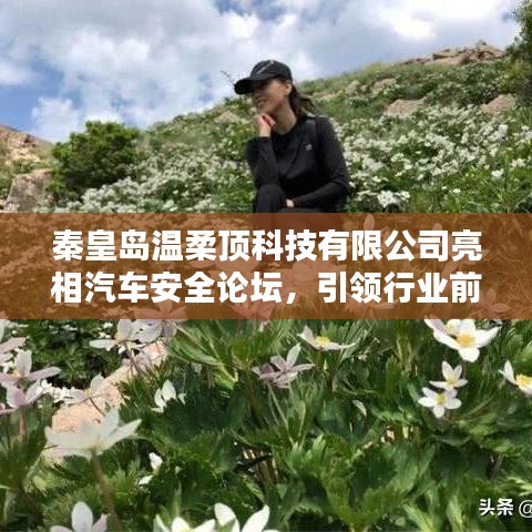 秦皇島溫柔頂科技亮相汽車安全論壇，引領前沿技術探討風潮
