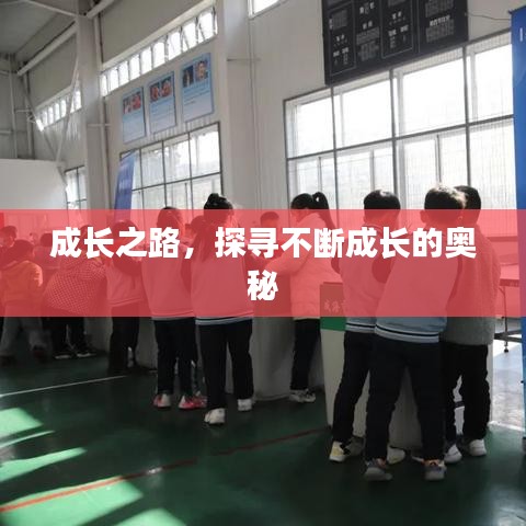 成長之路，探尋不斷成長的奧秘