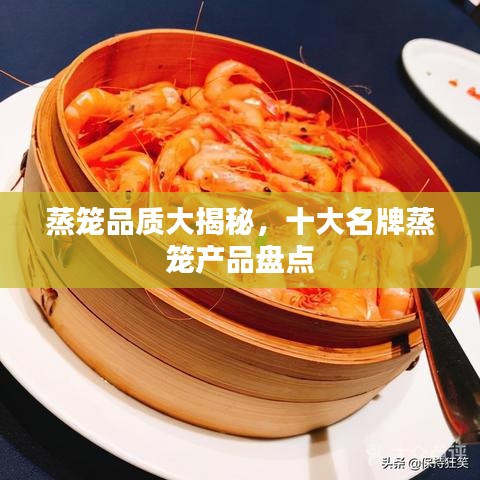 蒸籠品質大揭秘,十大名牌蒸籠產品盤點
