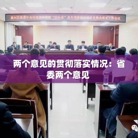 兩個(gè)意見的貫徹落實(shí)情況:省委兩個(gè)意見