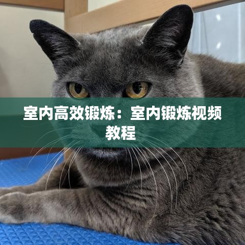室內高效鍛煉:室內鍛煉視頻教程