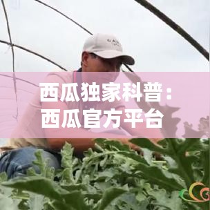 西瓜獨(dú)家科普:西瓜官方平臺(tái)