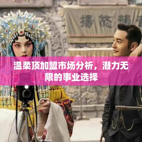 溫柔頂加盟市場深度解析,事業潛力無限選擇