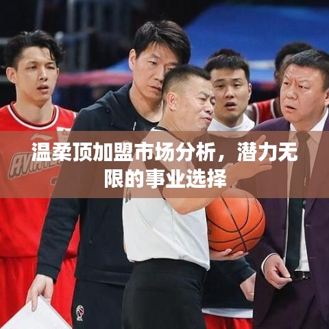 溫柔頂加盟市場深度解析,事業潛力無限選擇