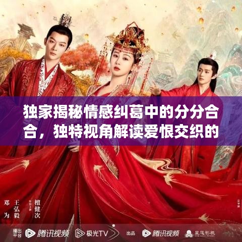 獨家揭秘情感糾葛中的分分合合,獨特視角解讀愛恨交織的世界