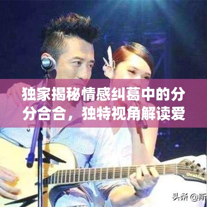 獨家揭秘情感糾葛中的分分合合,獨特視角解讀愛恨交織的世界