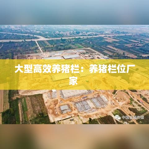 大型高效養豬欄:養豬欄位廠家