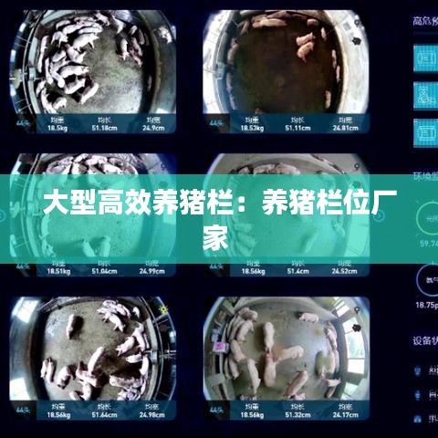 大型高效養(yǎng)豬欄:養(yǎng)豬欄位廠家