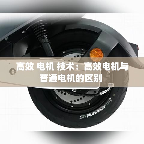 高效 電機(jī) 技術(shù):高效電機(jī)與普通電機(jī)的區(qū)別