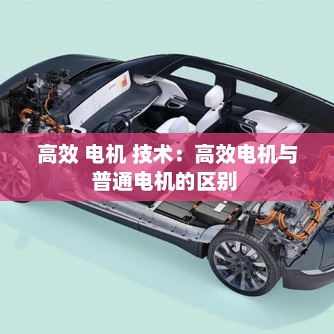高效 電機(jī) 技術(shù):高效電機(jī)與普通電機(jī)的區(qū)別