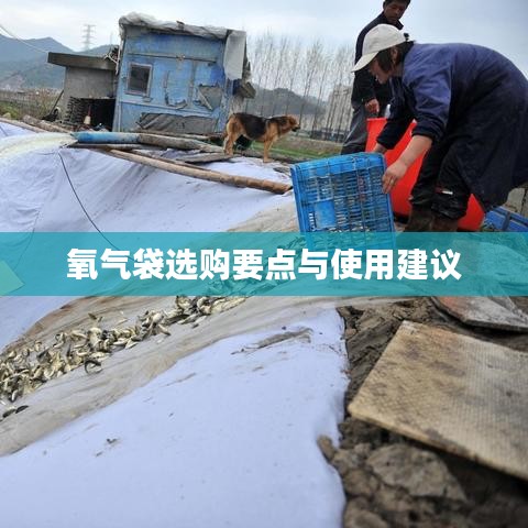 氧氣袋選購指南,要點解析與使用建議