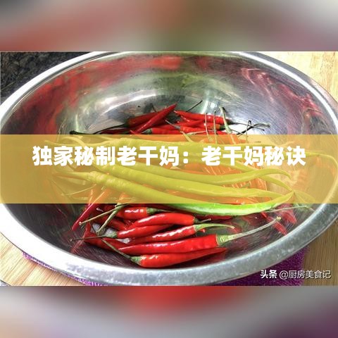 獨家秘制老干媽:老干媽秘訣