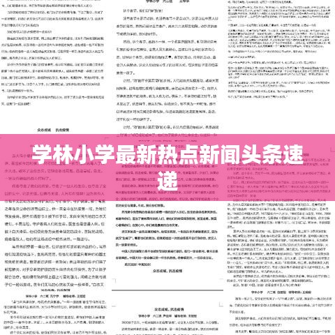 衣不曳地 第3頁