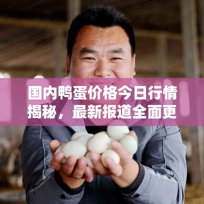 國內(nèi)鴨蛋價格今日行情揭秘,最新報道全面更新