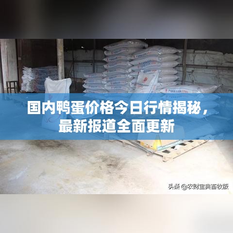 國內(nèi)鴨蛋價格今日行情揭秘,最新報道全面更新
