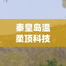 秦皇島溫柔頂科技榮獲創(chuàng)新獎,引領行業(yè)潮流,鑄就典范地位