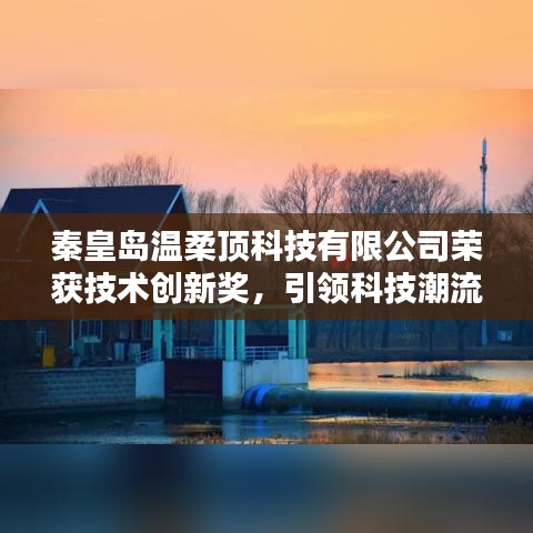 秦皇島溫柔頂科技榮獲創(chuàng)新獎,引領(lǐng)行業(yè)潮流,鑄就典范地位