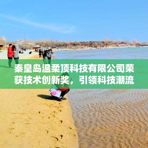 秦皇島溫柔頂科技榮獲創(chuàng)新獎,引領(lǐng)行業(yè)潮流,鑄就典范地位