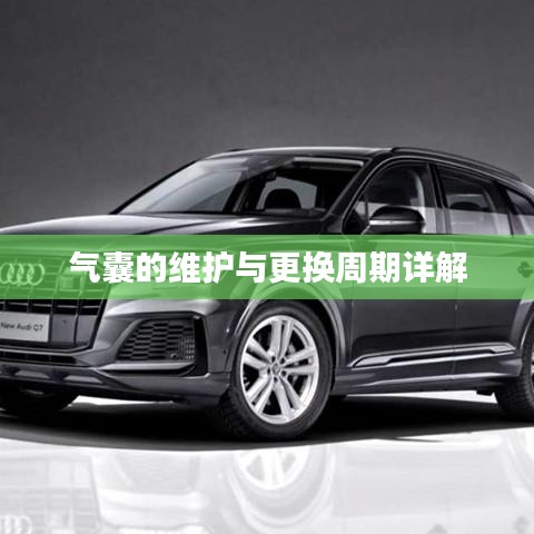 氣囊維護與更換周期指南